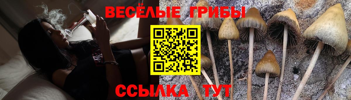 Псилоцибиновые грибы MAGIC MUSHROOMS  Вход с VPN  Галлюциногенные грибы Magic Shrooms  Белая Калитва 